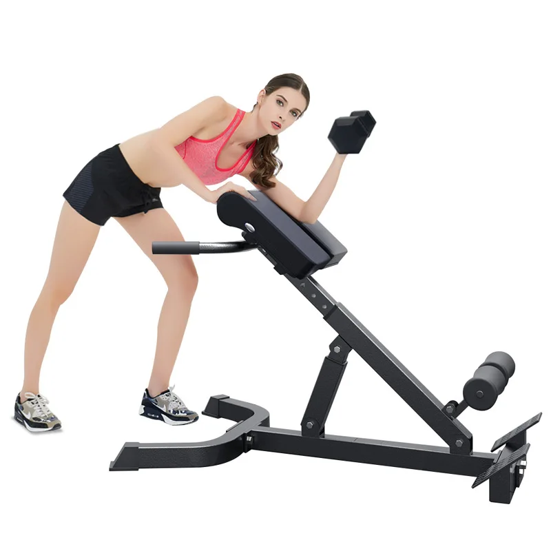 Professional Fitness Chair Stand Up Waist Abdominal Muscle Trainer Roman Chair