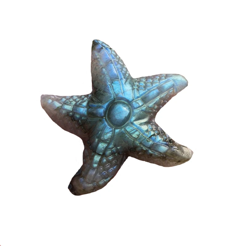Оптовая продажа, натуральный красочный Лабрадорит ручной работы, динозавр, животное, морская звезда для украшения