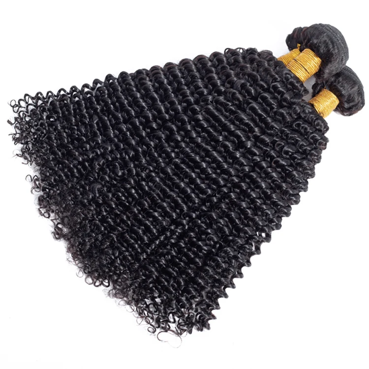 Brazilian Human Hair Weaves Kinky Curly 3 Bundles With Swiss Lace Closure Curly Skin Weft Hair Wave Remy Human Hair