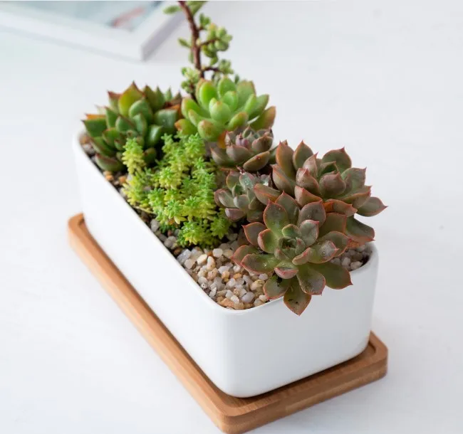 ceramic rectangle flower pots with bamboo saucer planter set wholesale