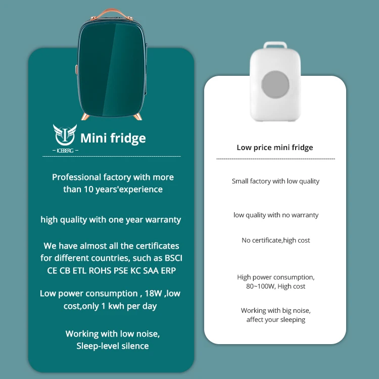 Wholesale 6 liter skin care refrigerator 12 volt refrigerator room fridge