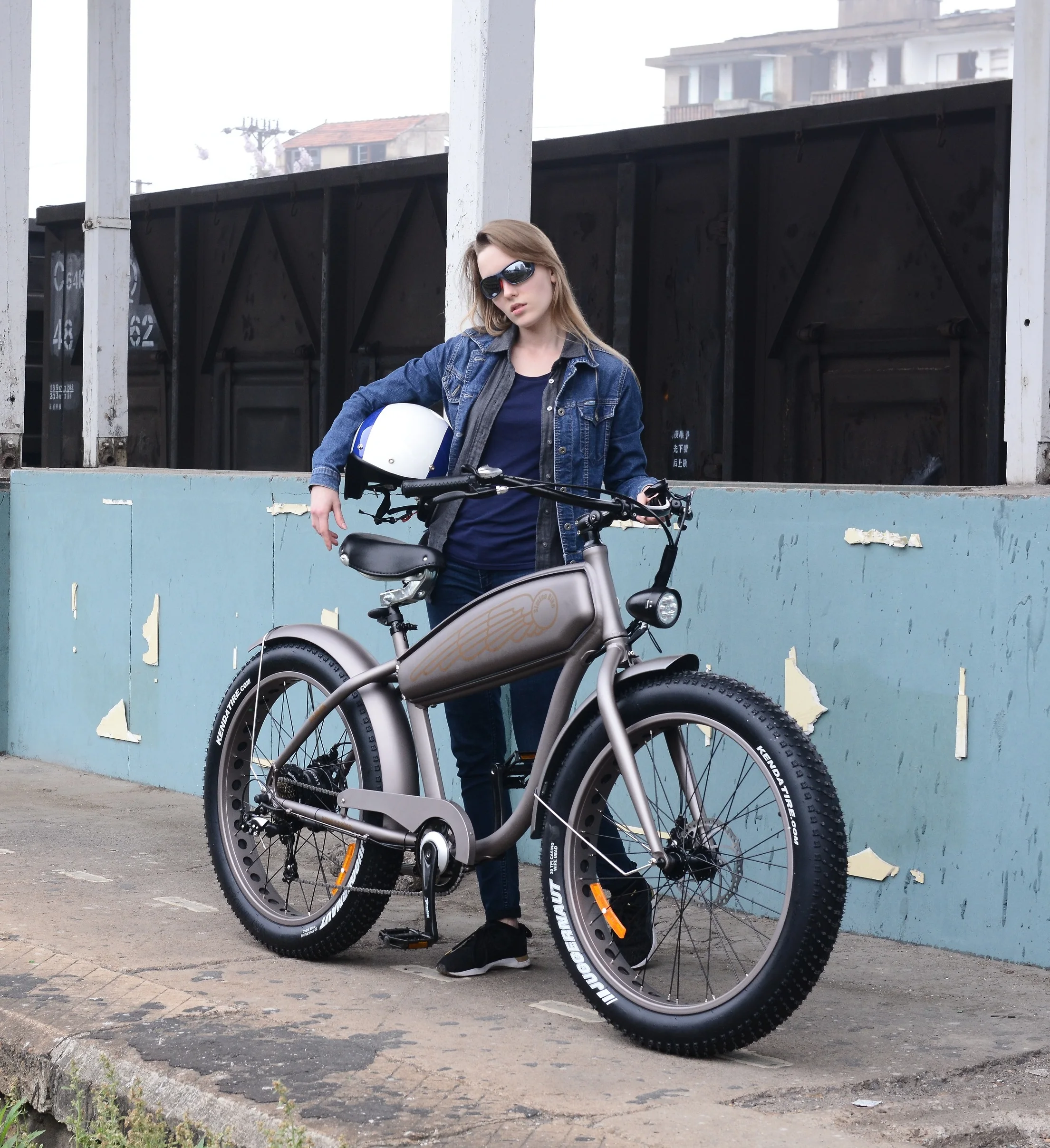 
48V battery powered electric bike with Bafang motor electric bicycle battery electric bike electric fat bike 