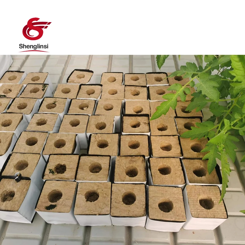 Shenglinsi  aquaponics system indoor cultivation agricultural greenhouses grow cubes rock wool hydroponic