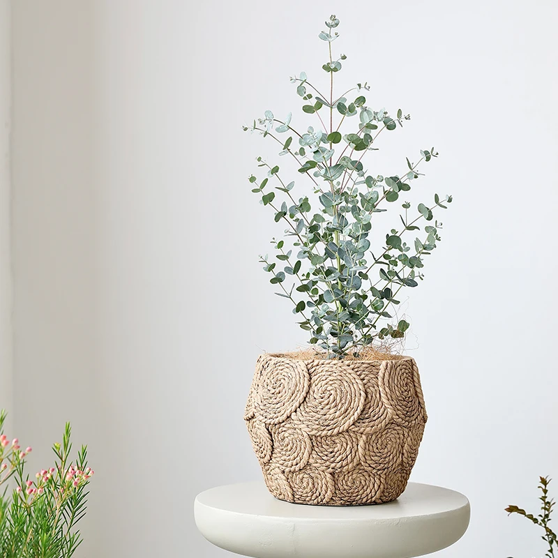 Retro Style Bamboo Weaving Garden Outdoor Decor Cement Bonsai Flowerpot Concrete Flower Pot with Drainage Hole