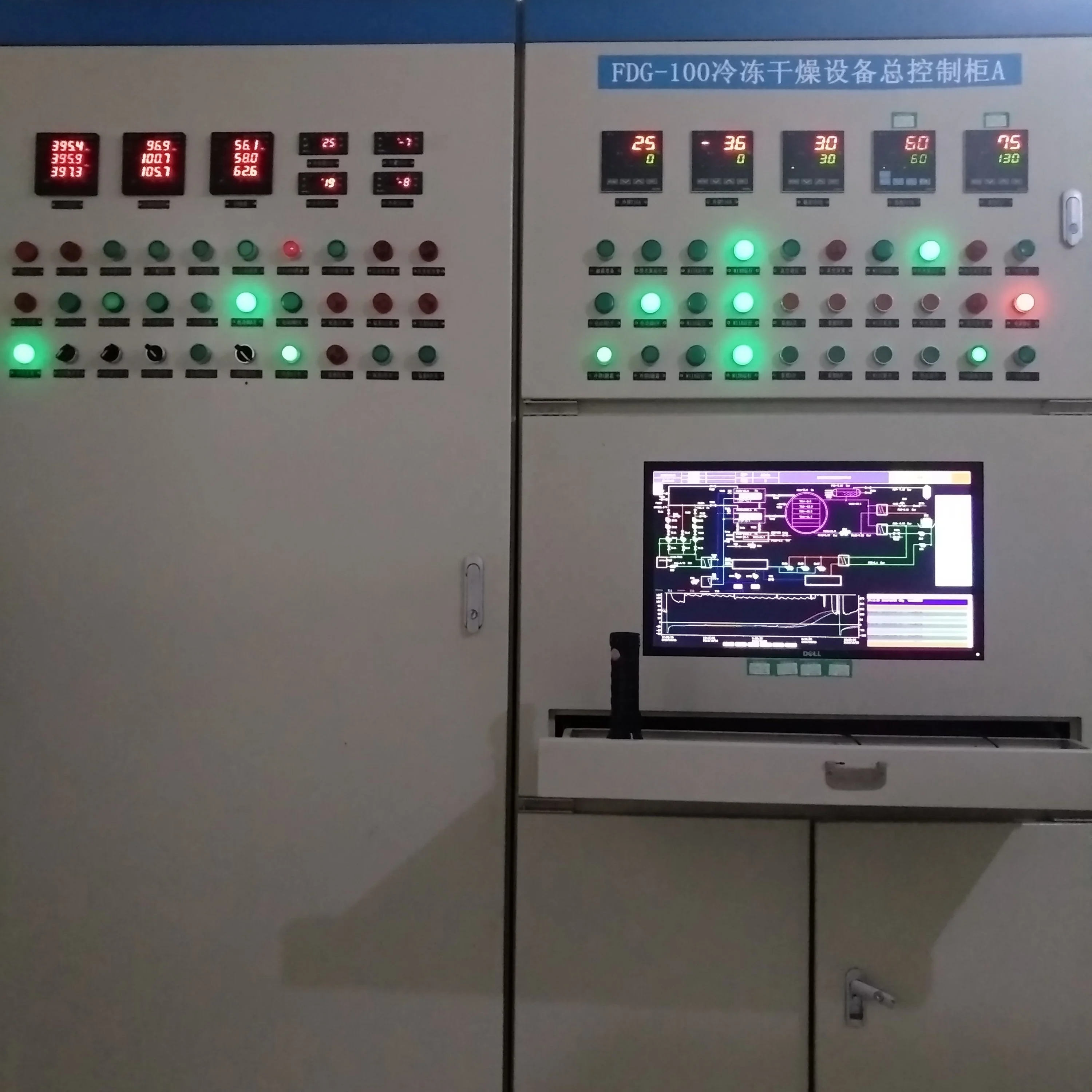 
Freeze Drying Equipment Prices for Fruit and Vegetable 