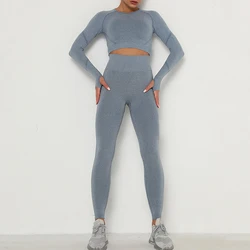 Ins Hot selling Solid Color  Fitness Wear Womens Two Piece Tracksuit Set
