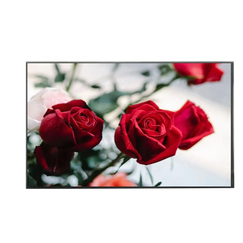 OLED controller surface 11.2 inch OLED display 2560*1600 dot matrix full color MIPI interface display screen