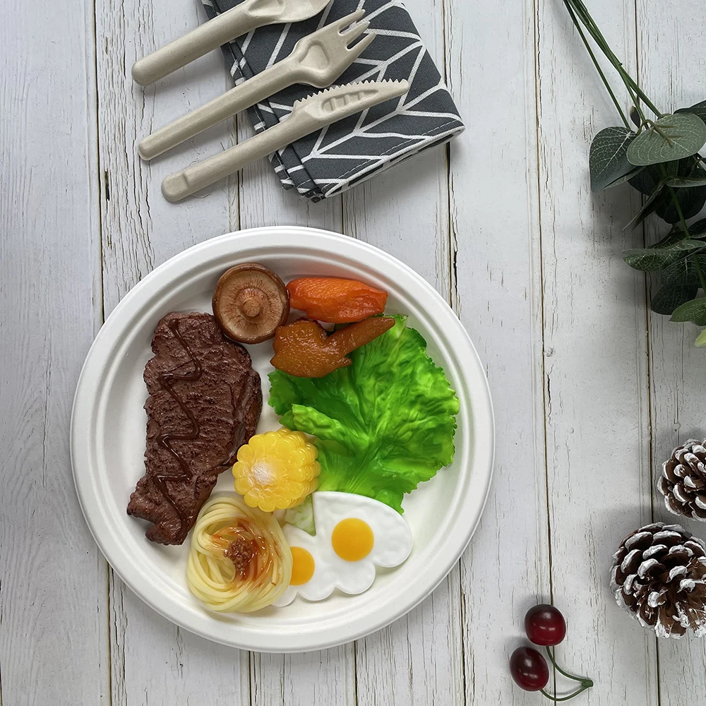 Paper Plates Biodegradable Plate Set Cheap Disposable  Plates Bulk Party Bagasse Food Container