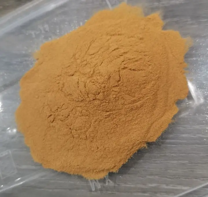 Factory Supply High Quality Soy Sauce Powder Lower Price Soy Sauce
