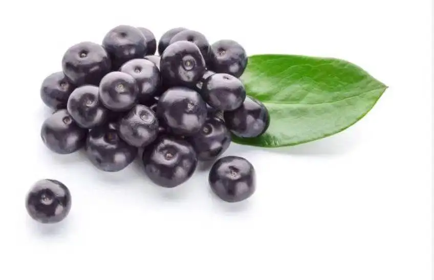 Фруктовый порошок высокого качества acai ягодный сыпучий acaiberry