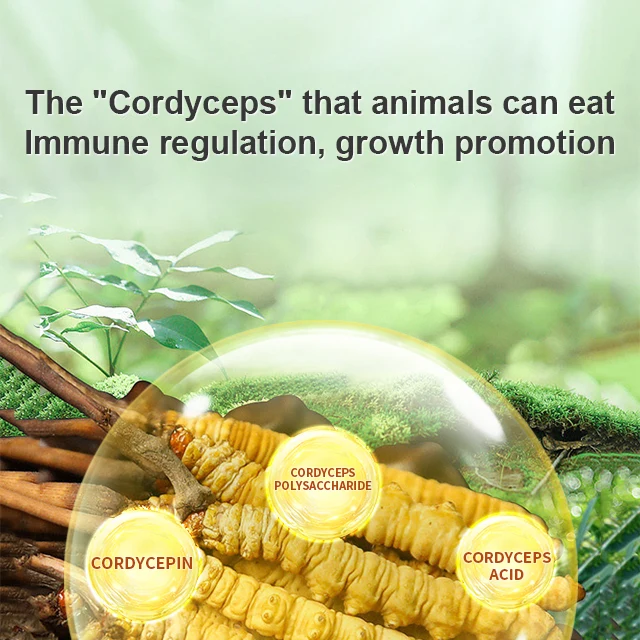 High quality vitamin additives for pigs  cattle  and sheep to supplement trace element additives vitamin powder animal