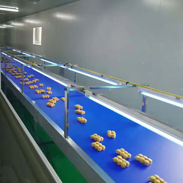 2020 PVC Hot Sale Belt Conveyor Flat Belt Conveyor System from Manufacturer