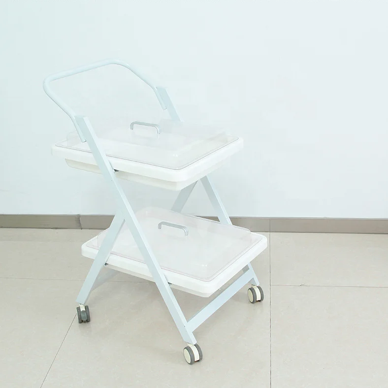 Endoscopic transfer vehicle gastrointestinal operating room instrument trolley