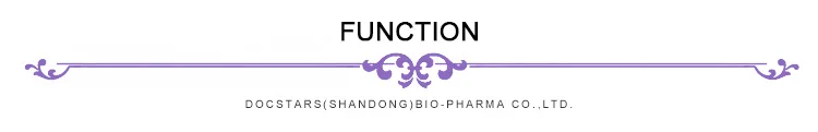 Function