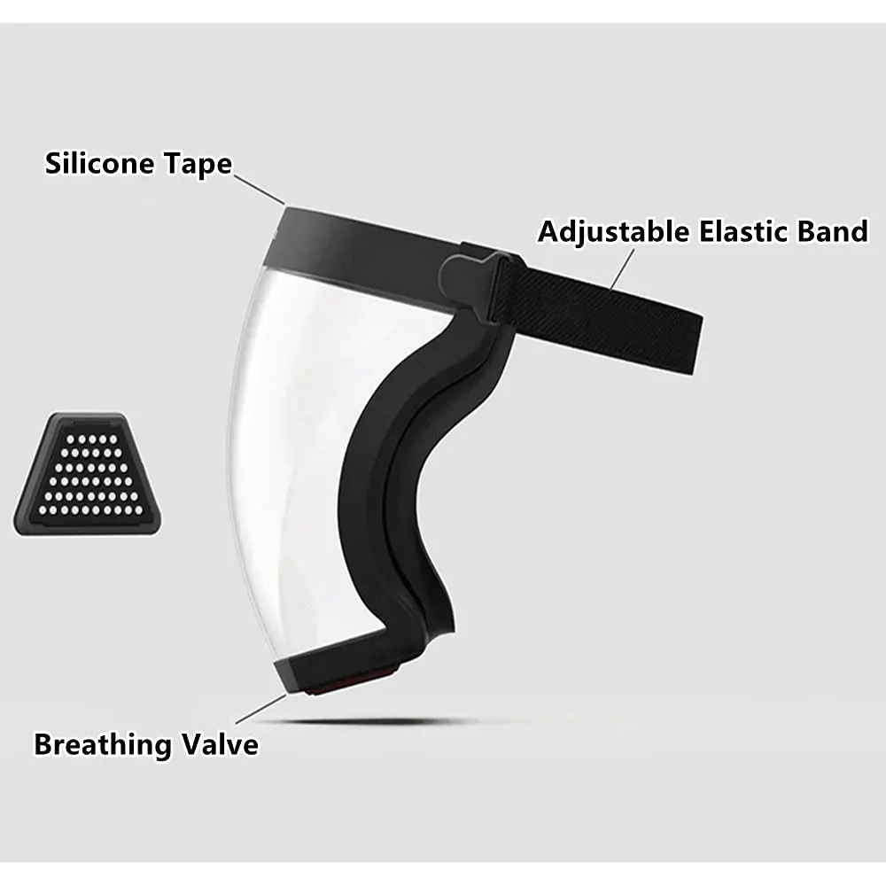 face shield with glasses frame