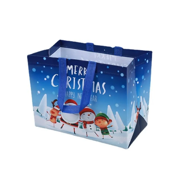 Promotional Customized Design Printed Ecobag Friendly Reusable Foldable Tote Ziplock Pp Non Woven Shopping Bag With Zipper Pouch