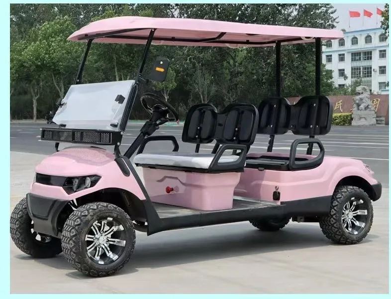 2025 Exclusive New Design Products Parison 4 Wheel Golf Cart Pink With 8 Passengers  Electric Utility Vehicle 2025SDZX12PTPR213