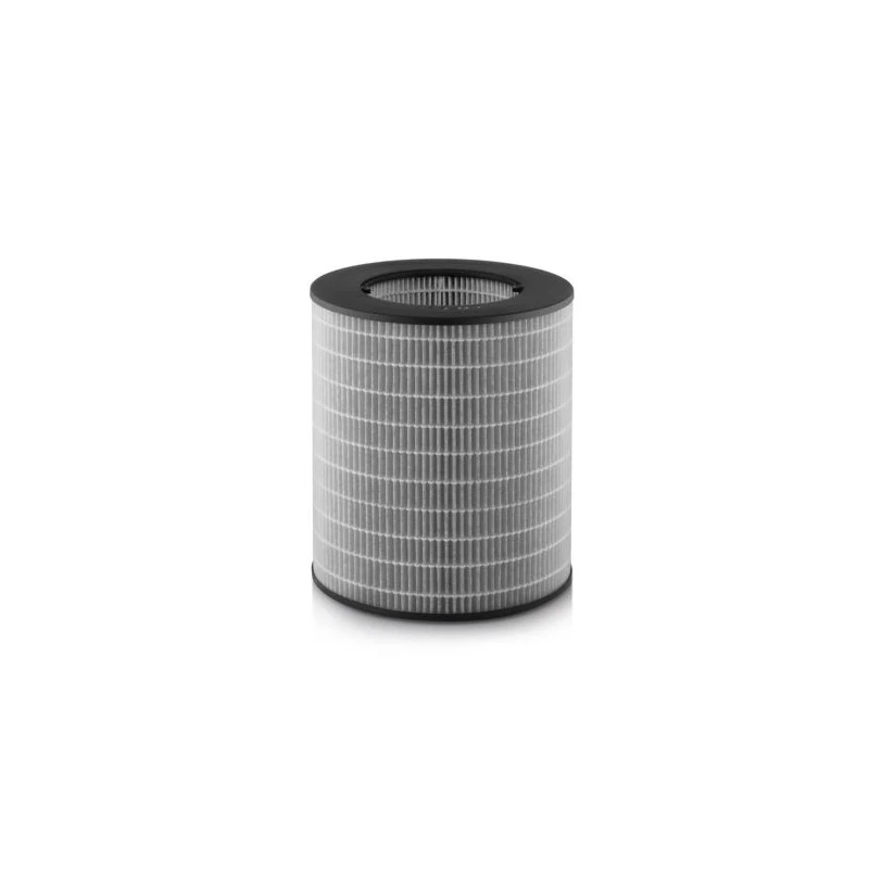 LA33 activated carbon combo filters