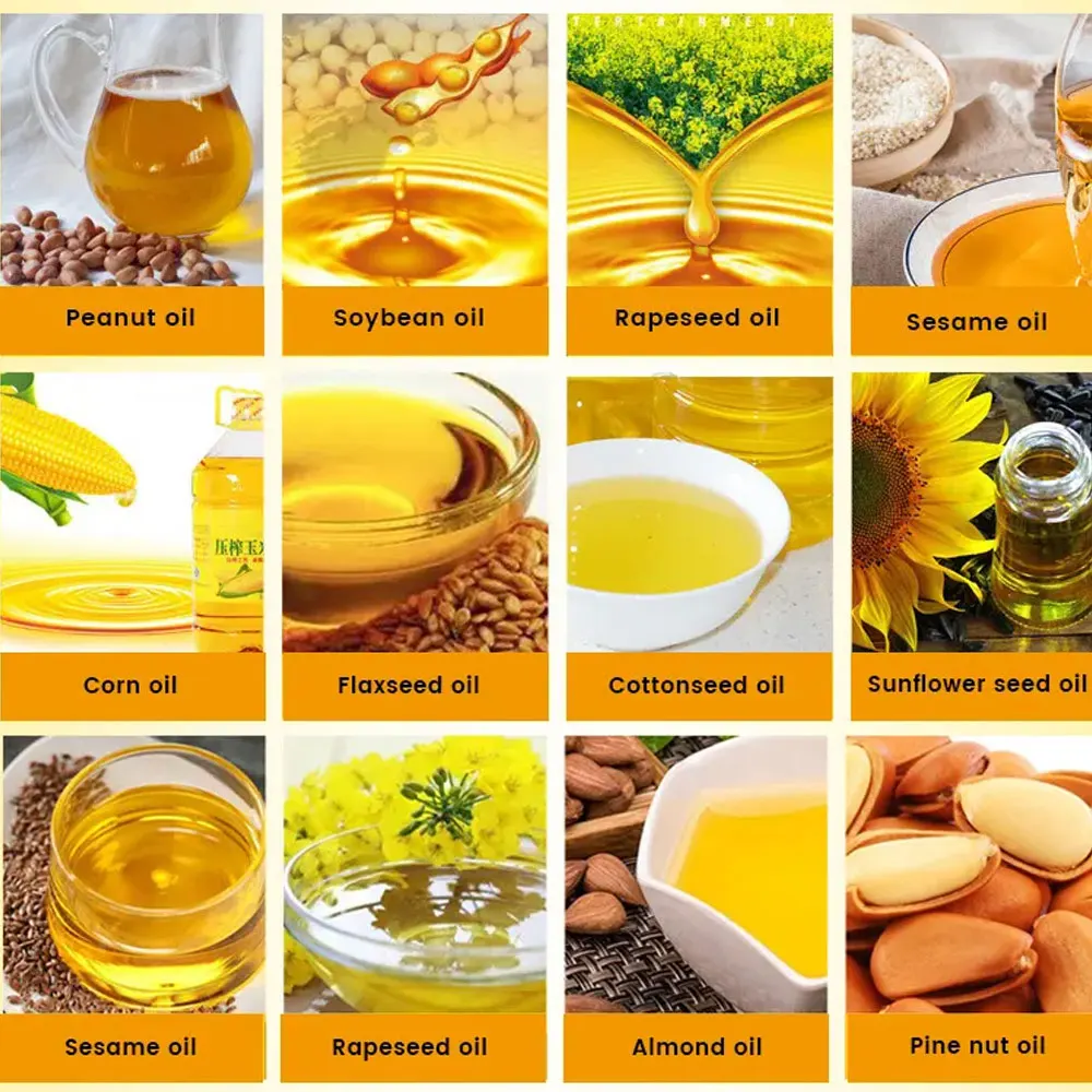 Palm kernel shea butter Shea fruit Pomegranate seeds coffee beans cocoa beans Grape seed oil press/making extraction machine