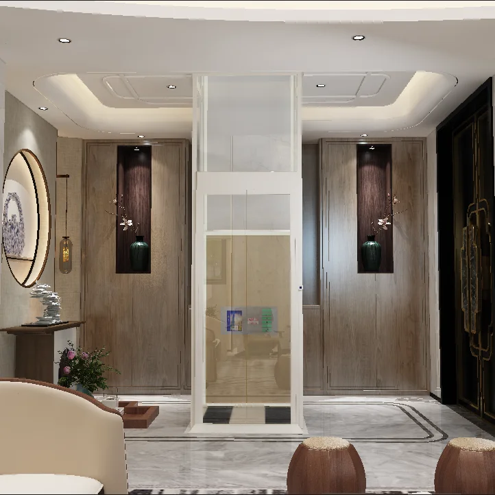 2024 New Developed Residential Villa Lift 400kg Indoor Home Elevators