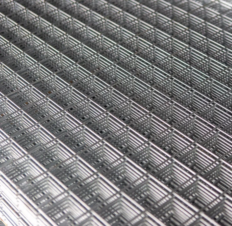 welded wire mesh/galvanized wire  mesh