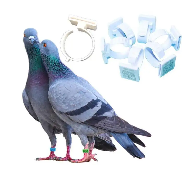 Bird Rings Tag Label 8mm 7mm ABS PC Birds Rings Pigeon Leg Bands Training Identification Foot Rings