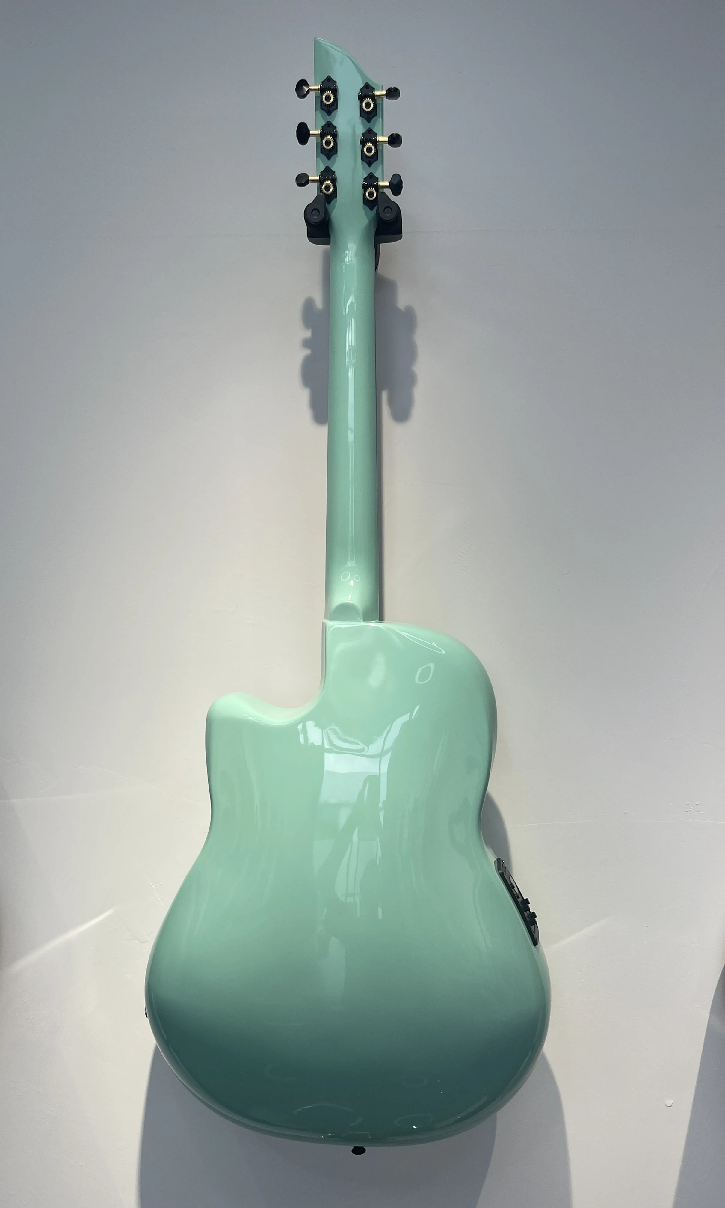 carbon fiber back (2).jpg