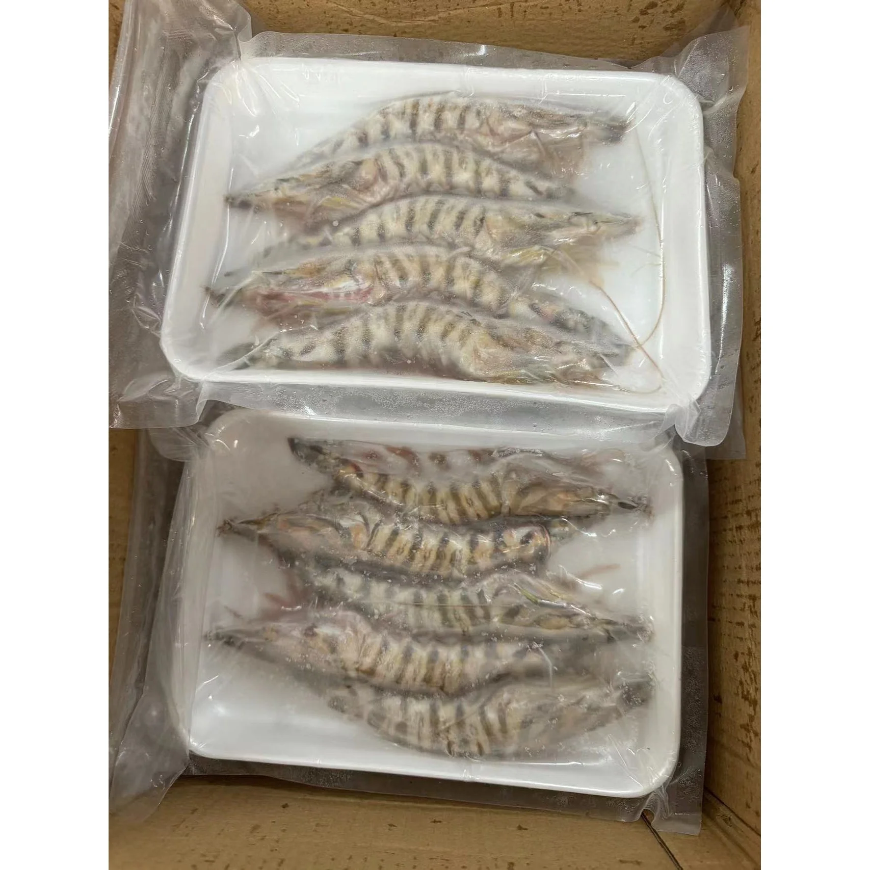 High Quality Frozen Natural Black Tiger Shrimp Frozen Shrimp For Market