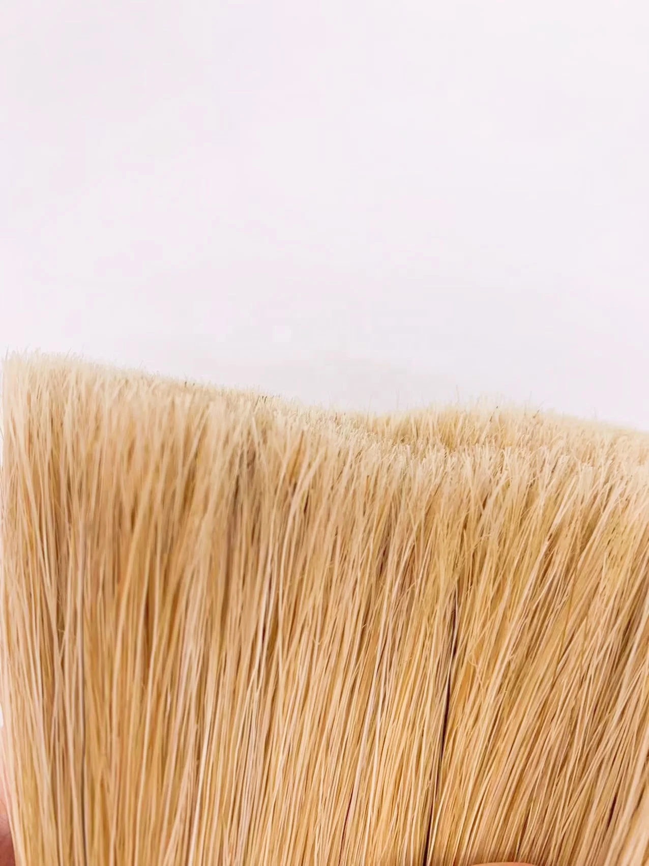 Striker brush head in pure bristle with nut and bolt