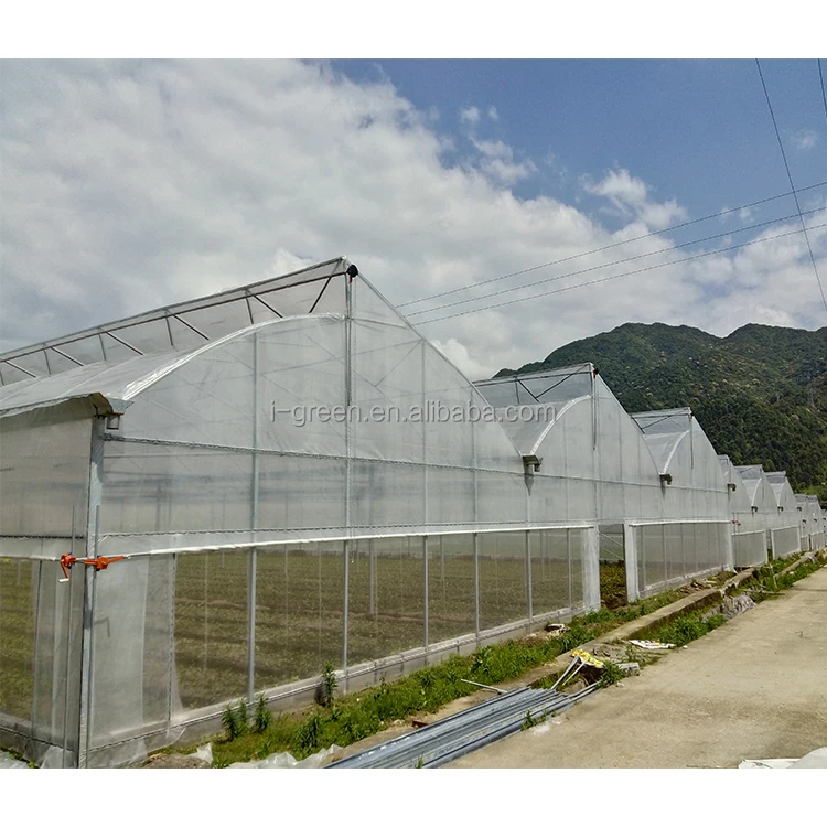 Film Frame Plastic Large Green House Metal Frame Large Plastic Tray for Seed Planting Large Glass Flower Base Customizable Size