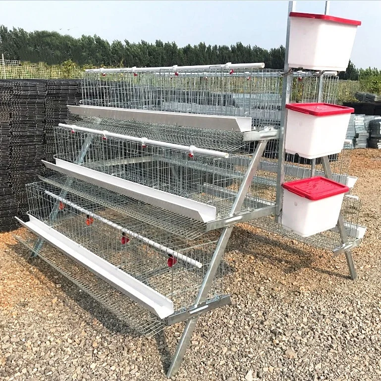 hot sales A H type 3 4 layers 5 doors chicken laying egg hot dipped galvanized iron broiler cages