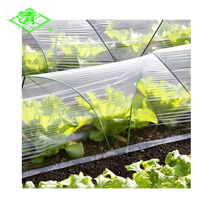 Agricultural polyethylene material poly film greenhouse cover for sale