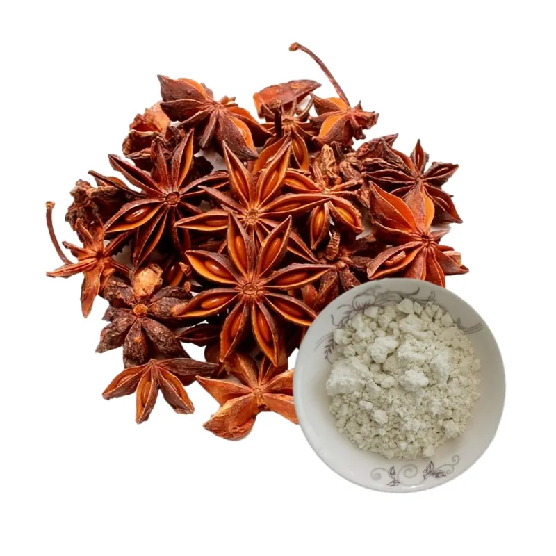 manufacturer supply star anise fruit extract natural star anise powder