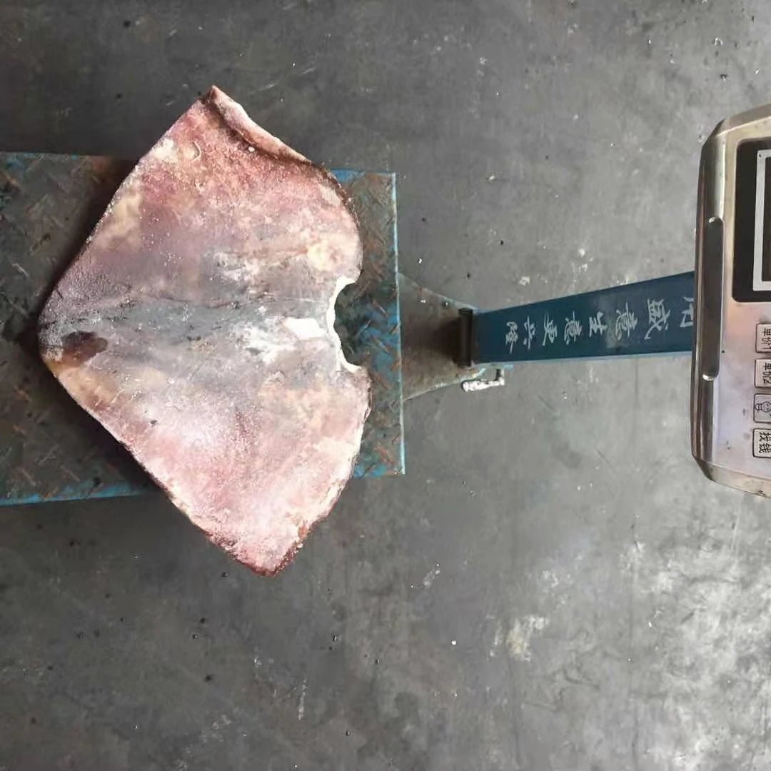 frozen giant seafood squid half cut wings  sale 500g+