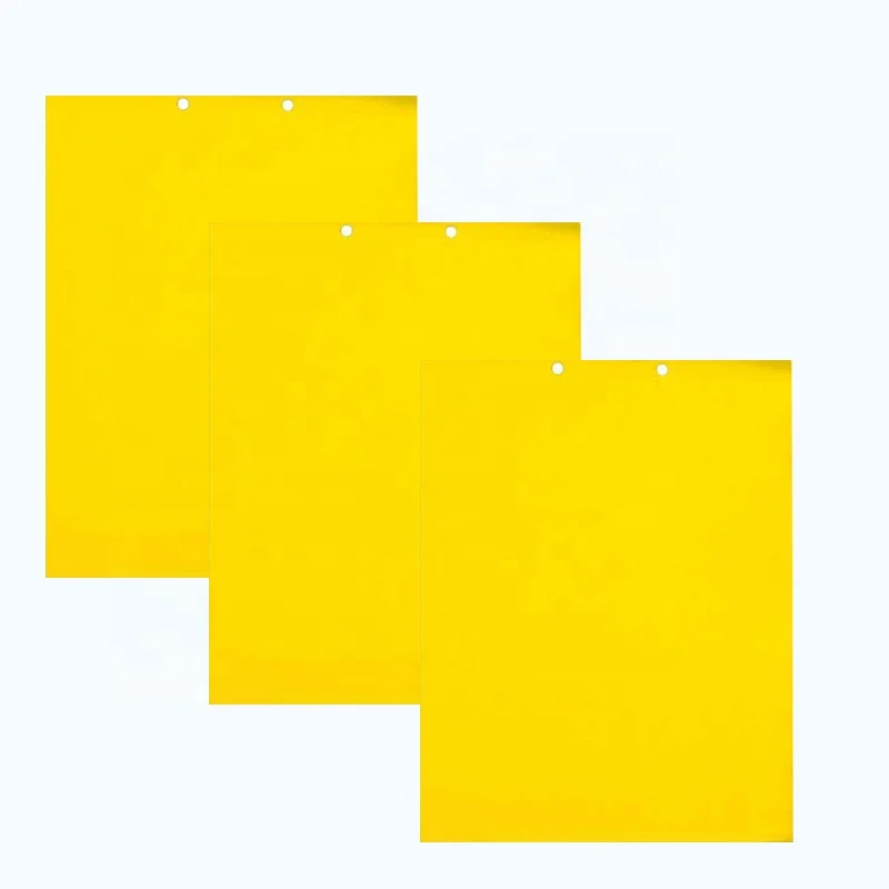 Pestman Sticky Fruit Fly Pest Catcher Indoor Yellow Sticky Trap
