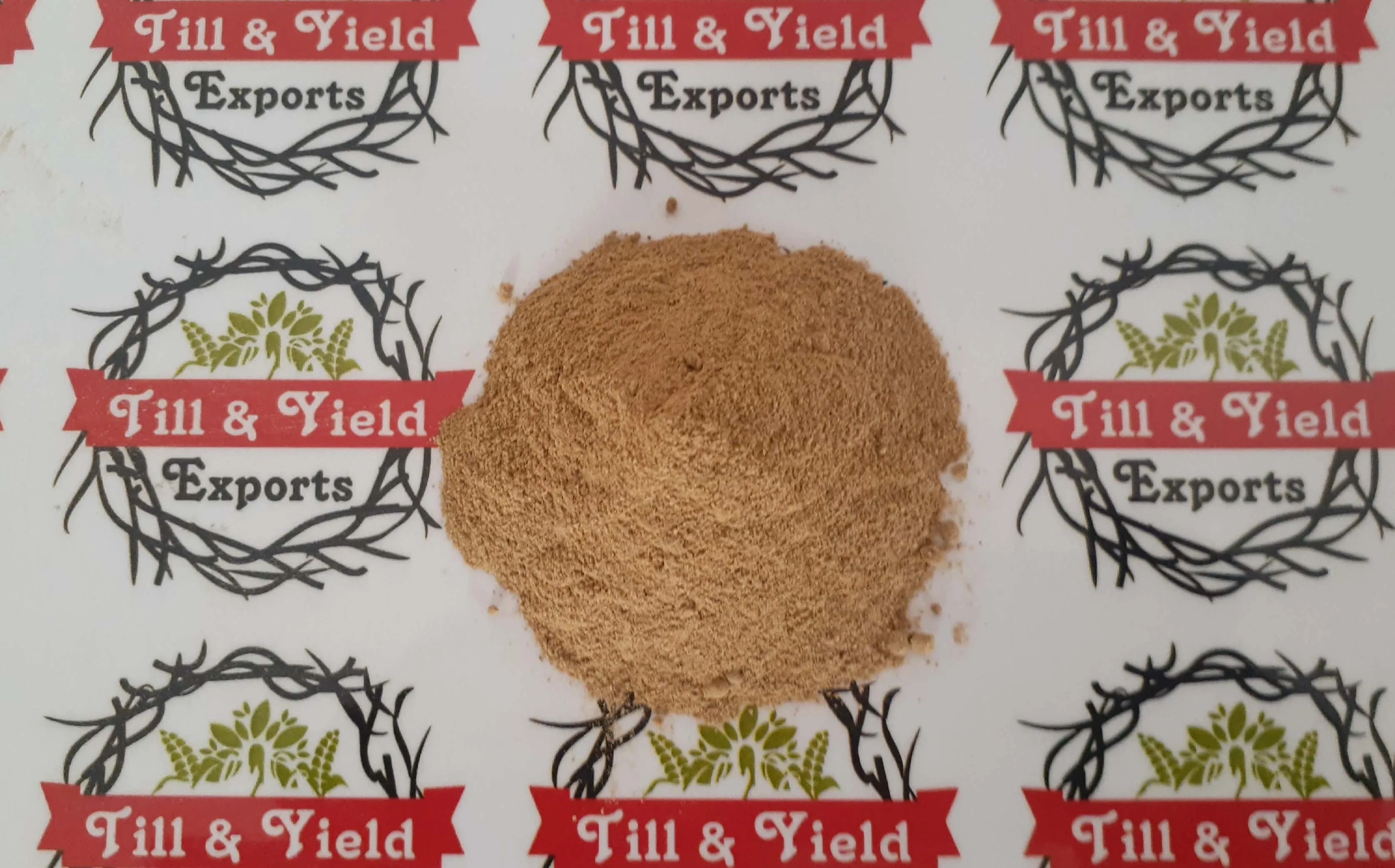 High Quality Natural Organic Ginger Extract Powder 1% by HPCL Ginger Root Extract Powder