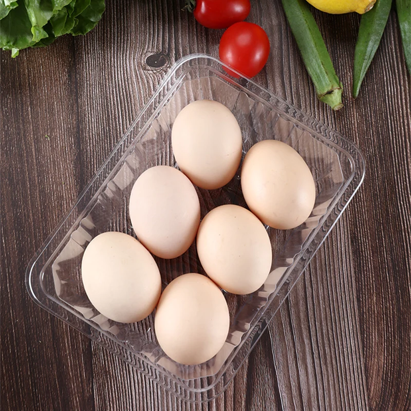 Disposable PET Plastic Food Trays Clear Fruit Food Packing Display for Dry Fruit Vegetable Snacks 19*14*2.5cm Plastic Dish