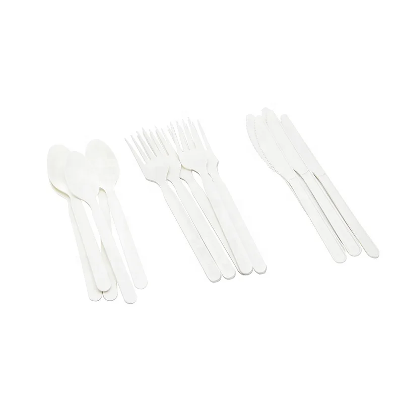 
Disposable Cutlery Flatware Sets CPLA Spoons Forks and Knives 