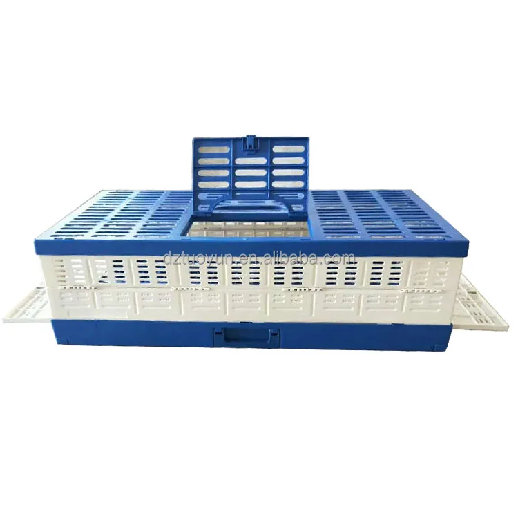 TUOYUN Best Sell Transparent Box Pigeon Sustainable Dove Cage Carrier Pigeons For Sale