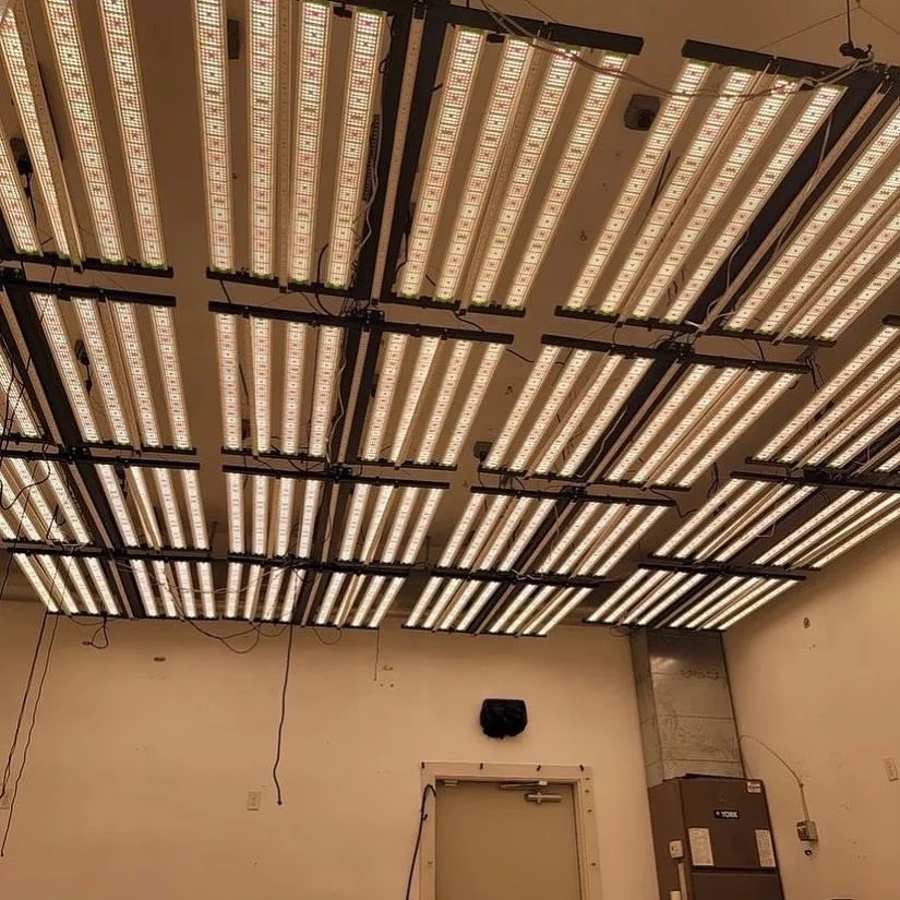 Custom DIY 1000w Led Grow Light LM301H Samsung Full spectrum/UV Bar Separate Control For Indoor Plants