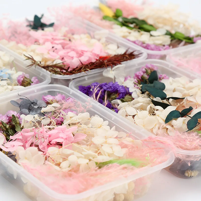 Provide Customization Factory Direct Sales High Quality Dried Wholesale Eternal Flower