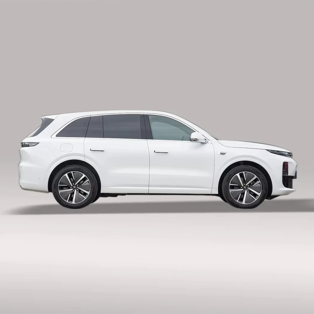 Электрический и Подержанный автомобиль ведущая идеальная модель 2024 L6 Pro дешевый для взрослых