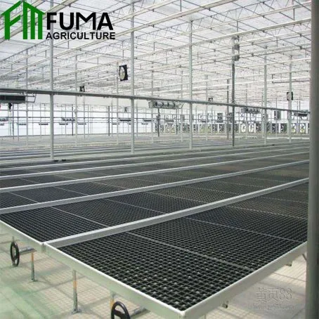 FM Mobile Seedbed Net Hot-dip Galvanized Mesh Greenhouse Seedling Bed Tidal Bed For Seedling Production