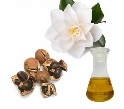 Оптовая продажа, натуральное масло семян камелии, масло семян камелии Японии для спа-ухода за кожей