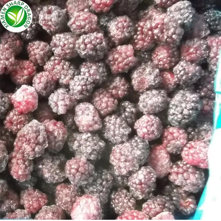 Bulk price fruit pulp iqf frozen blackberries