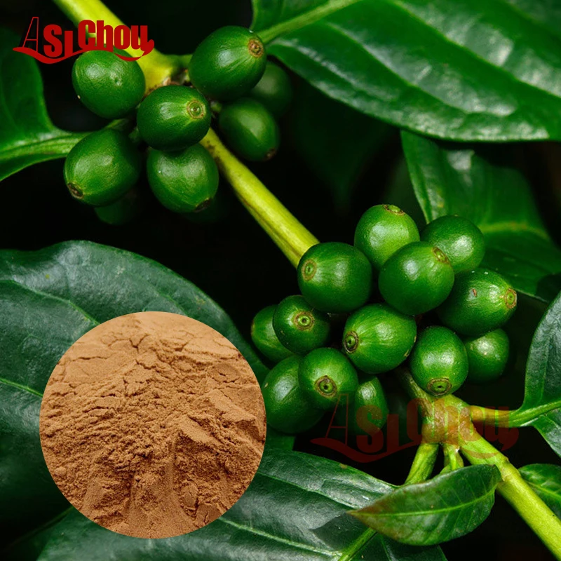 
Organic green coffee bean extract powder 