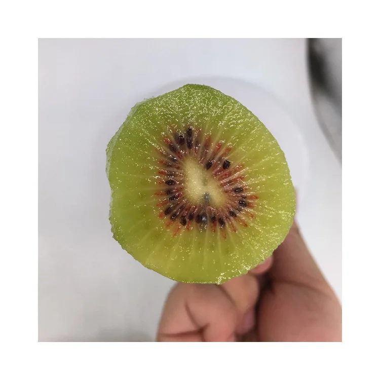 wholesale Manufacturer iran fresh Organic sweet kiwi fruit for buyer