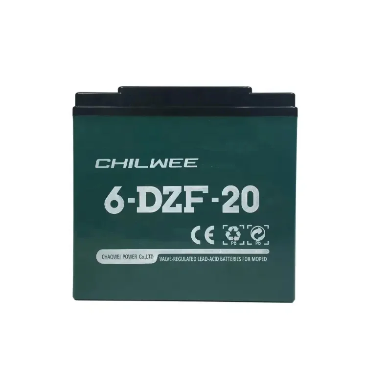 electric scooter accessories citycoco spare parts lithium battery chilwee battery citycoco parts TN battery