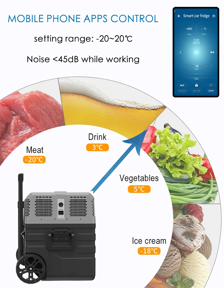 NX42 detachable battery solar powered DC compressor car refrigerator portable 12v camping fridges with wheels and handle