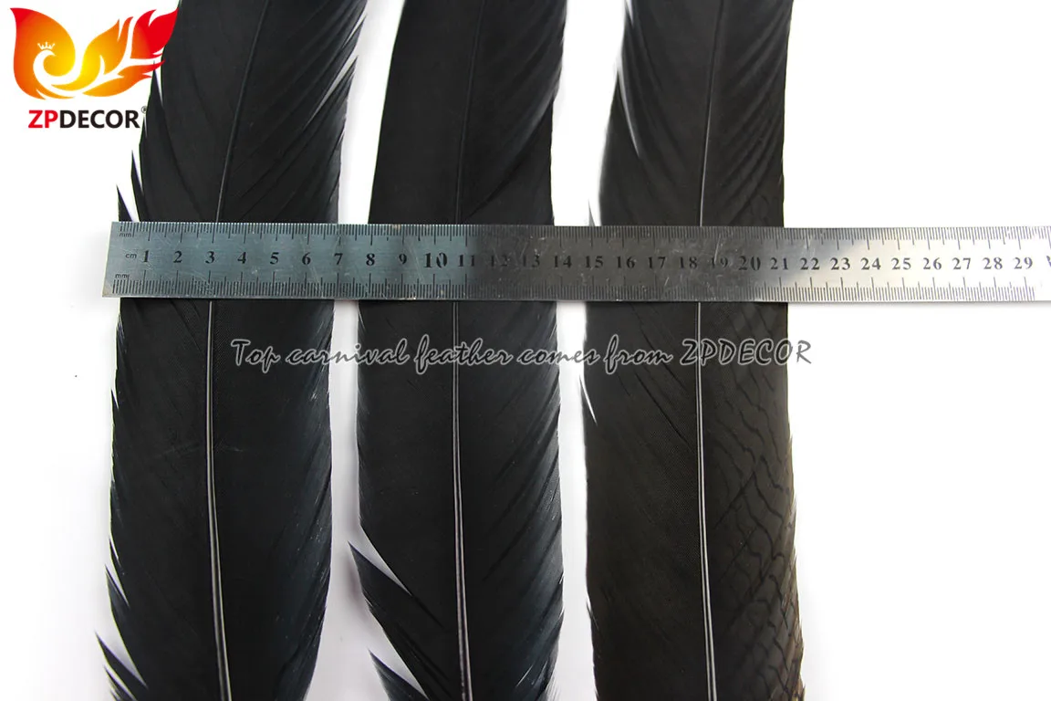 ZPDECOR Supplier High Quality Size 65-70 cm Dyed Black Silver Pheasant Feathers with Gray Tip for Carnival Dance Costumes